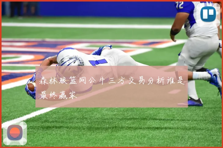 森林狼篮网公牛三方交易分析谁是最终赢家