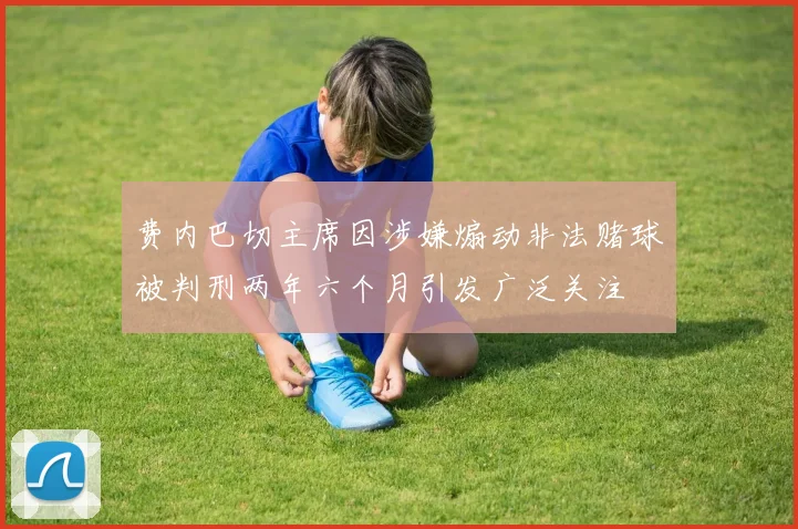 费内巴切主席因涉嫌煽动非法赌球被判刑两年六个月引发广泛关注